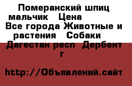 Померанский шпиц мальчик › Цена ­ 30 000 - Все города Животные и растения » Собаки   . Дагестан респ.,Дербент г.